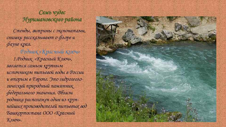 Семь чудес Нуримановского района Стенды, витрины с экспонатами, снимки рассказывают о флоре и фауне