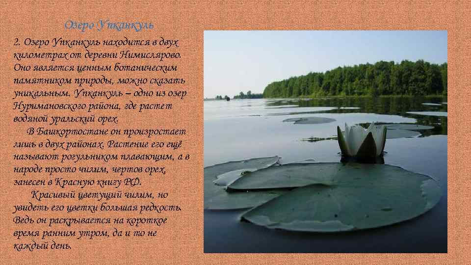 Озеро Упканкуль 2. Озеро Упканкуль находится в двух километрах от деревни Нимислярово. Оно является