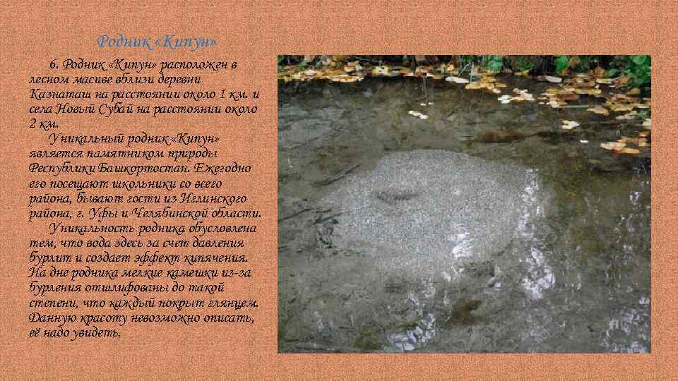 Родник «Кипун» 6. Родник «Кипун» расположен в лесном масиве вблизи деревни Казнаташ на расстоянии