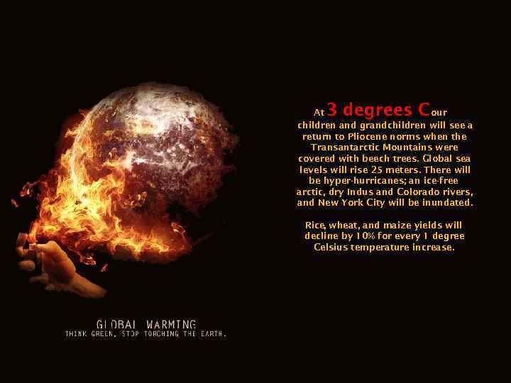 3 degrees C At our children and grandchildren will see a return to Pliocene