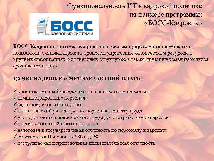 Функциональность ИТ в кадровой политике на примере программы: «БОСС-Кадровик» БОСС-Кадровик - автоматизированная система управления