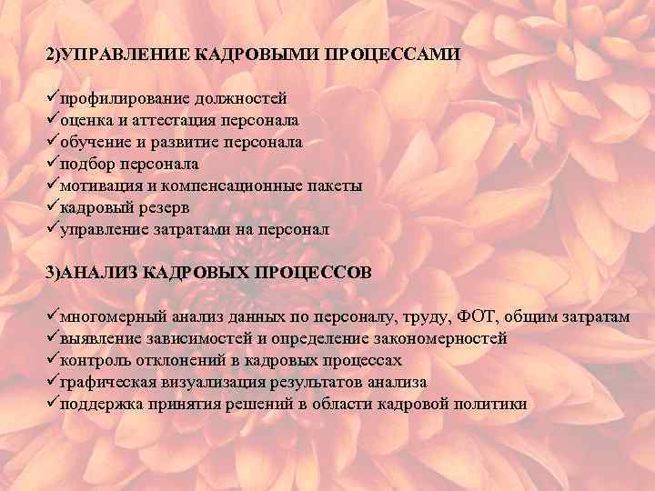 2)УПРАВЛЕНИЕ КАДРОВЫМИ ПРОЦЕССАМИ üпрофилирование должностей üоценка и аттестация персонала üобучение и развитие персонала üподбор