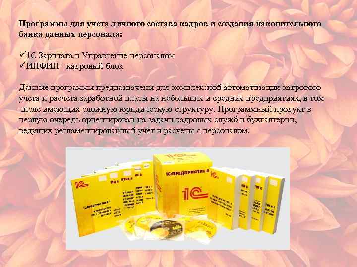 Программы для учета личного состава кадров и создания накопительного банка данных персонала: ü 1
