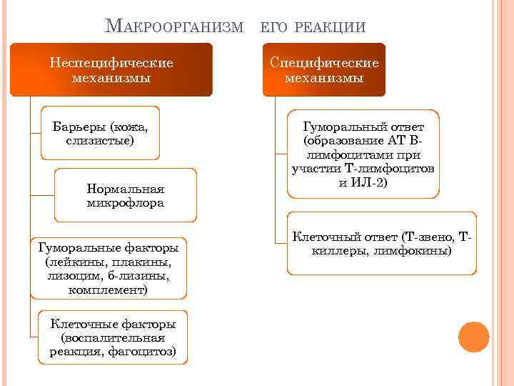 МАКРООРГАНИЗМ Неспецифические механизмы Барьеры (кожа, слизистые) Нормальная микрофлора Гуморальные факторы (лейкины, плакины, лизоцим, б-лизины,