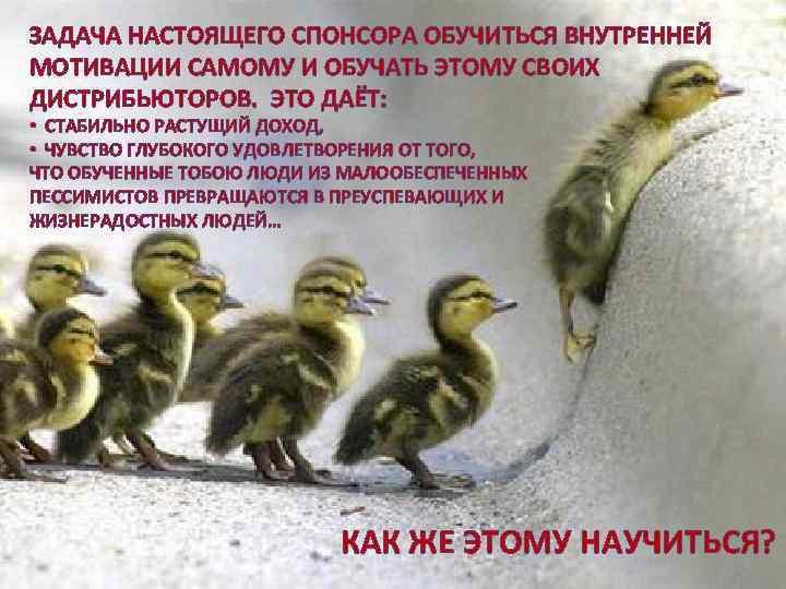 ЗАДАЧА НАСТОЯЩЕГО СПОНСОРА ОБУЧИТЬСЯ ВНУТРЕННЕЙ МОТИВАЦИИ САМОМУ И ОБУЧАТЬ ЭТОМУ СВОИХ ДИСТРИБЬЮТОРОВ. ЭТО ДАЁТ: