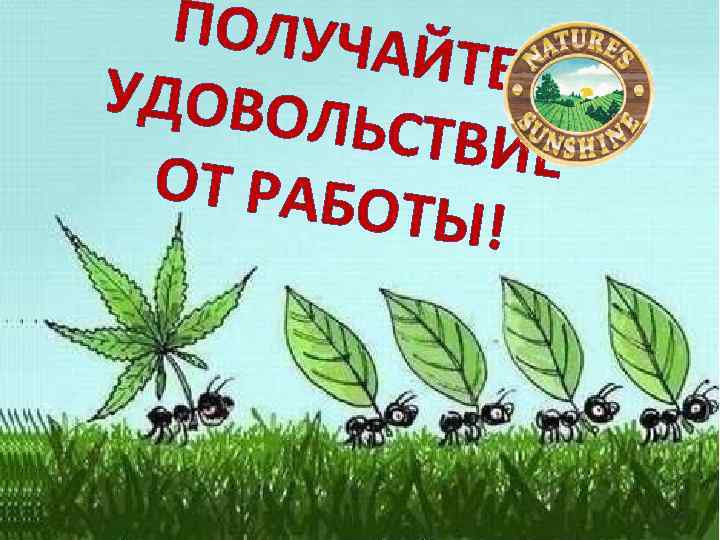ПОЛУЧА ЙТЕ УДОВОЛ ЬСТВИЕ ОТ РАБО ТЫ! 