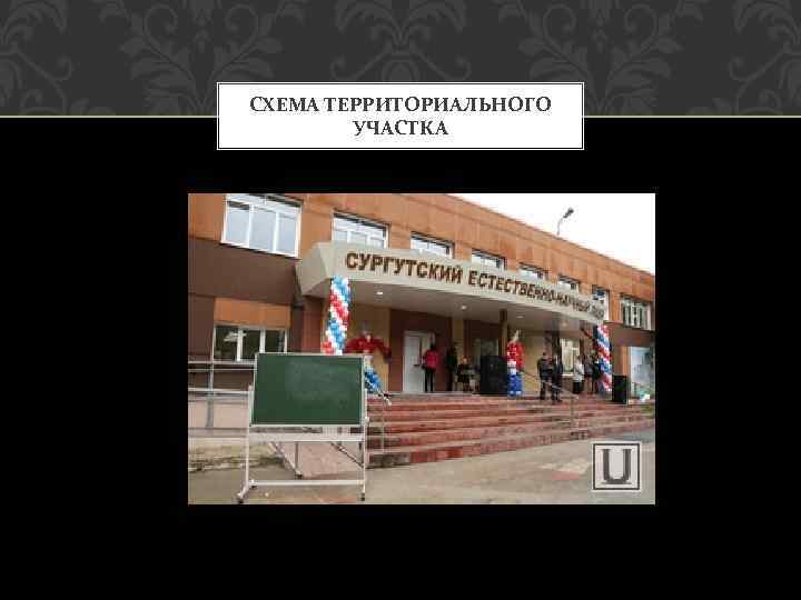 СХЕМА ТЕРРИТОРИАЛЬНОГО УЧАСТКА 