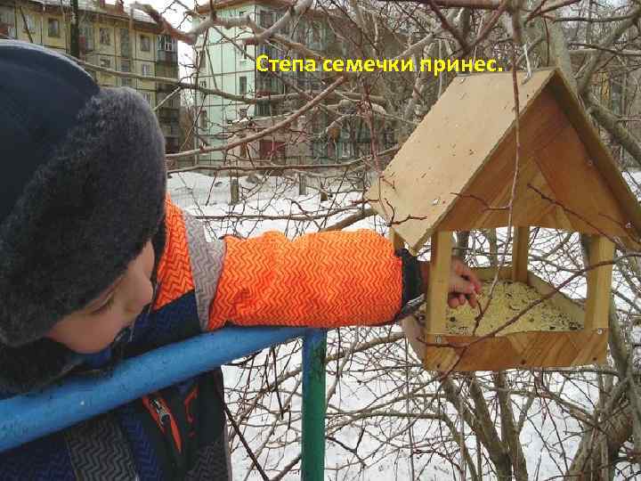 Степа семечки принес. 