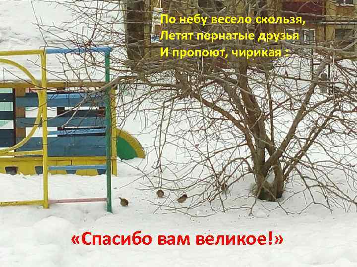 По небу весело скользя, Летят пернатые друзья И пропоют, чирикая : «Спасибо вам великое!»
