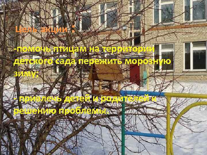 Цель акции : -помочь птицам на территории детского сада пережить морозную зиму; - привлечь