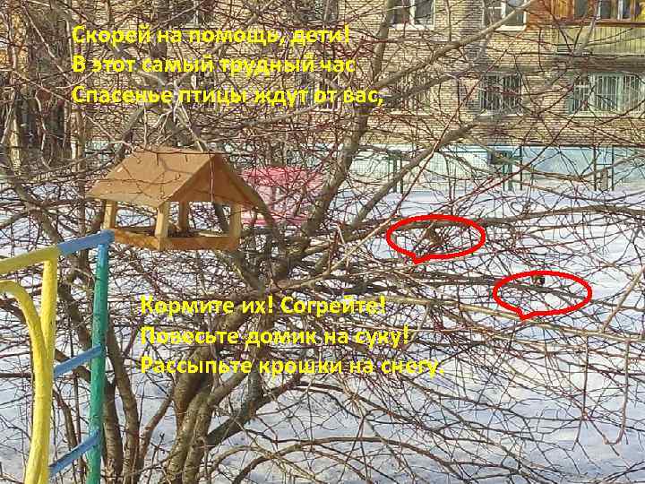 Скорей на помощь, дети! В этот самый трудный час Спасенье птицы ждут от вас,