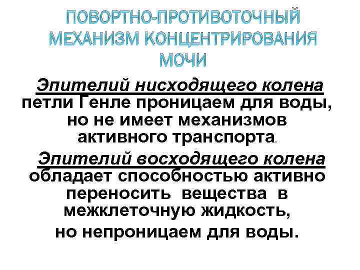 ПОВОРТНО-ПРОТИВОТОЧНЫЙ МЕХАНИЗМ КОНЦЕНТРИРОВАНИЯ МОЧИ Эпителий нисходящего колена петли Генле проницаем для воды, но не