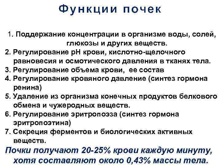 Функции почек 1. Поддержание концентрации в организме воды, солей, глюкозы и других веществ. 2.