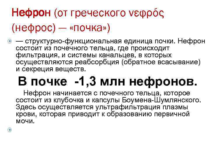 Нефрон (от греческого νεφρός (нефрос) — «почка» ) — структурно-функциональная единица почки. Нефрон состоит