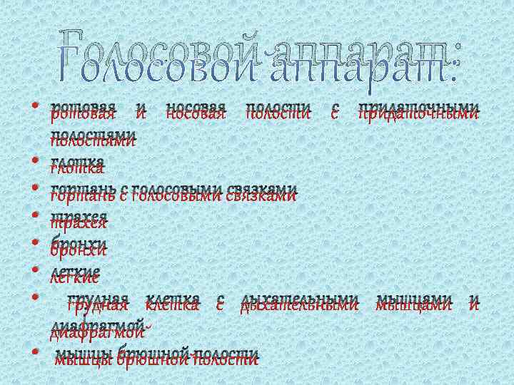 Голосовой аппарат: • ротовая и носовая полости с придаточными полостями • глотка • гортань