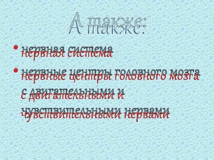 А также: • нервная система • нервные центры головного мозга с двигательными и чувствительными