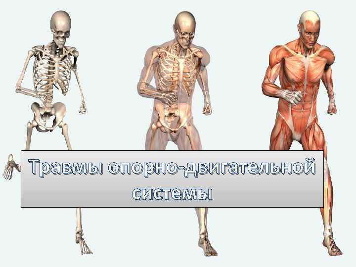 Травмы опорно-двигательной системы 