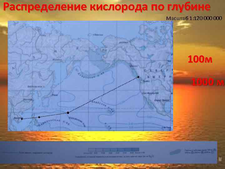 Распределение кислорода по глубине Масштаб 1: 120 000 100 м 1000 м 
