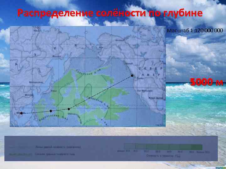 Распределение солёности по глубине Масштаб 1: 120 000 5000 м 1000 