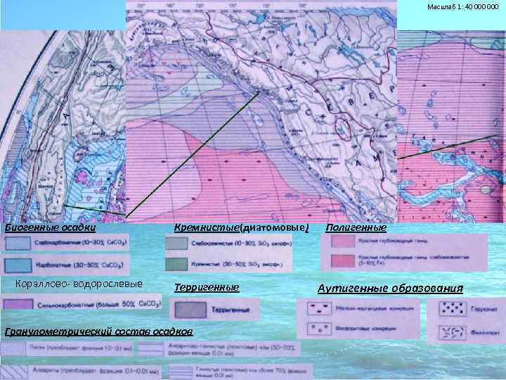 Масштаб 1: 40 000 Донные осадки Биогенные осадки Кораллово- водорослевые Кремнистые(диатомовые) Терригенные Гранулометрический состав