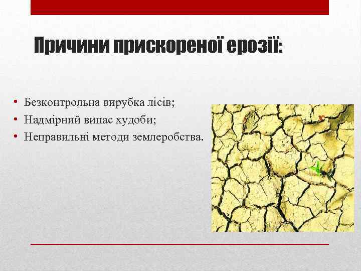 Причини прискореної ерозії: • Безконтрольна вирубка лісів; • Надмірний випас худоби; • Неправильні методи