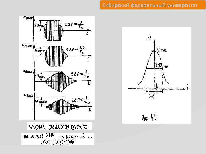 Сибирский федеральный университет 