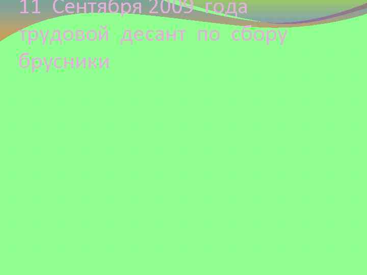 11 Сентября 2009 года трудовой десант по сбору брусники 