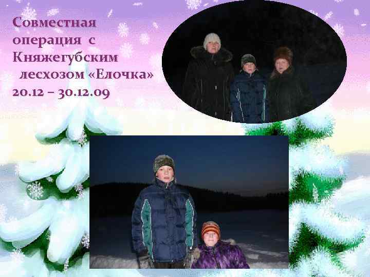 Совместная операция с Княжегубским лесхозом «Елочка» 20. 12 – 30. 12. 09 