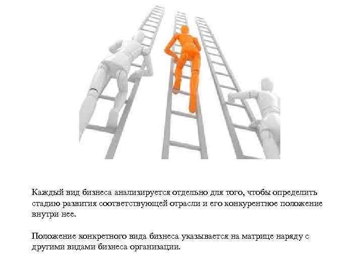 Каждый вид бизнеса анализируется отдельно для того, чтобы определить стадию развития соответствующей отрасли и
