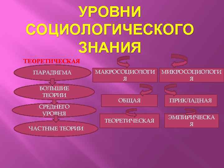 УРОВНИ СОЦИОЛОГИЧЕСКОГО ЗНАНИЯ ТЕОРЕТИЧЕСКАЯ ПАРАДИГМА БОЛЬШИЕ ТЕОРИИ МАКРОСОЦИОЛОГИ Я МИКРОСОЦИОЛОГИ Я ЧАСТНЫЕ ТЕОРИИ ПРИКЛАДНАЯ