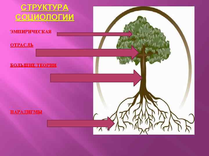 СТРУКТУРА СОЦИОЛОГИИ ЭМПИРИЧЕСКАЯ ОТРАСЛЬ БОЛЬШИЕ ТЕОРИИ ПАРАДИГМЫ 