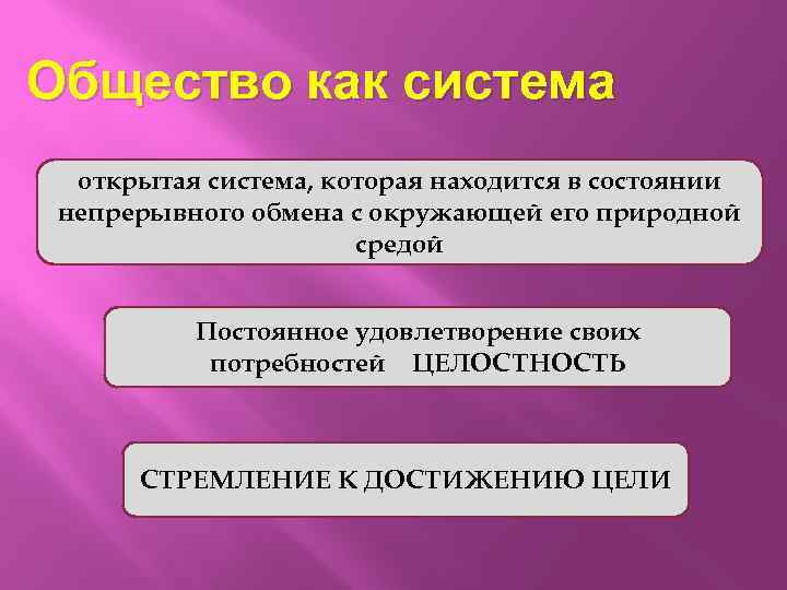 Общество как система открытая система, которая находится в состоянии непрерывного обмена с окружающей его