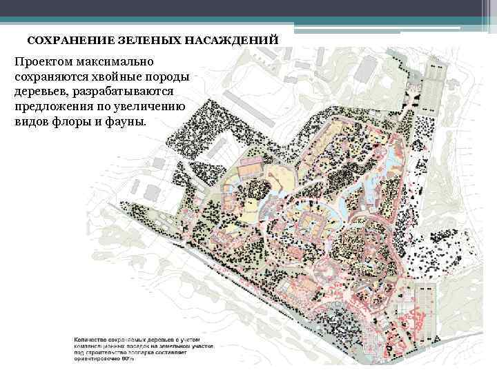 СОХРАНЕНИЕ ЗЕЛЕНЫХ НАСАЖДЕНИЙ Проектом максимально сохраняются хвойные породы деревьев, разрабатываются предложения по увеличению видов