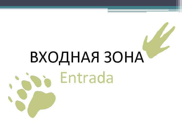 ВХОДНАЯ ЗОНА Entrada 