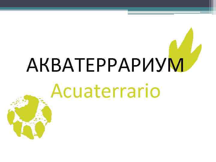 АКВАТЕРРАРИУМ Acuaterrario 