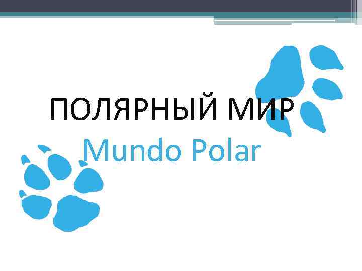 ПОЛЯРНЫЙ МИР Mundo Polar 