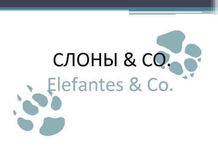 СЛОНЫ & CO. Elefantes & Co. 