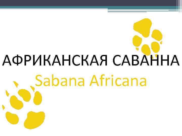 АФРИКАНСКАЯ САВАННА Sabana Africana 