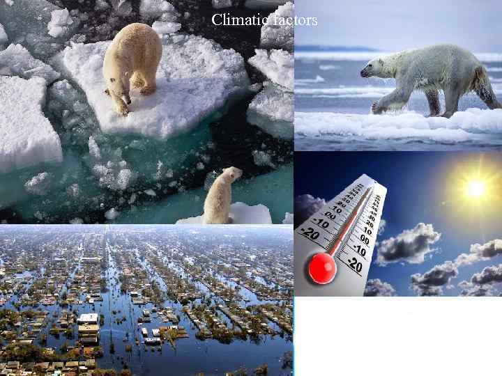 Climatic factors 