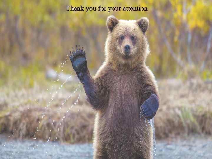 Thank you for your attention 