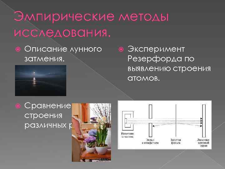 Эмпирические методы исследования. Описание лунного затмения. Сравнение строения различных растений. Эксперимент Резерфорда по выявлению