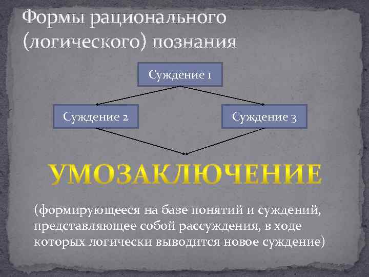 К формам рационального познания не относится