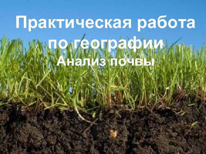 Практическая работа ПРАКТИЧЕСКАЯ РАБОТА по географии ПО ГЕОГРАФИИ Анализ почвы 