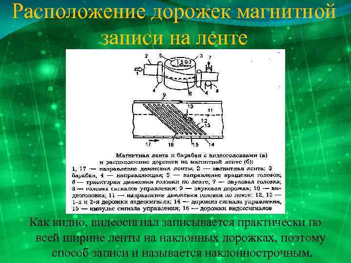 Расположение дорожек магнитной записи на ленте Как видно, видеосигнал записывается практически по всей ширине