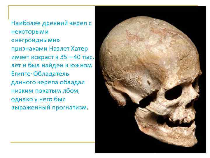 Наиболее древний череп с некоторыми «негроидными» признаками Назлет Хатер имеет возраст в 35— 40