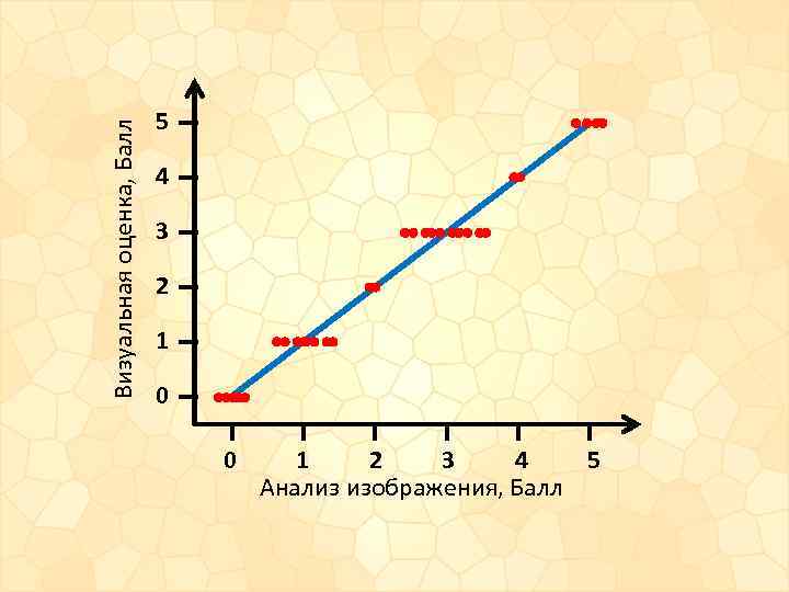 Визуальная оценка, Балл 5 4 3 2 1 0 0 1 2 3 4
