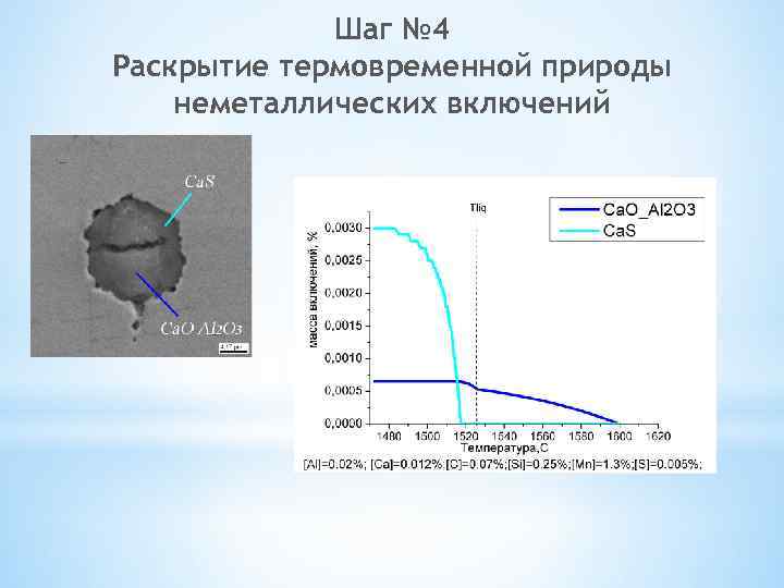 Шаг № 4 Раскрытие термовременной природы неметаллических включений 