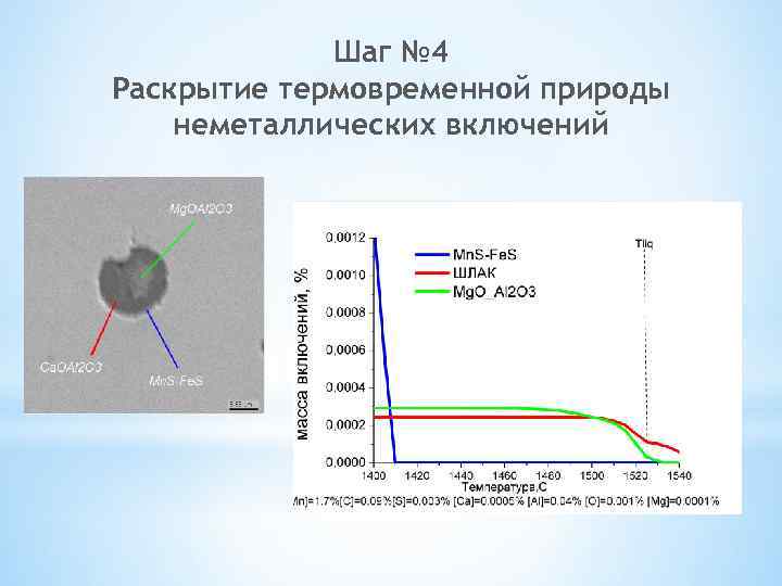 Шаг № 4 Раскрытие термовременной природы неметаллических включений 