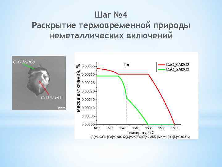 Шаг № 4 Раскрытие термовременной природы неметаллических включений 