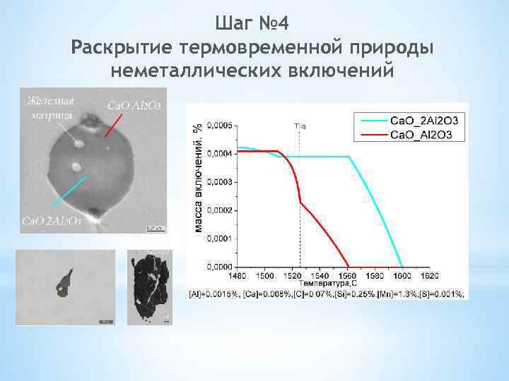 Шаг № 4 Раскрытие термовременной природы неметаллических включений 